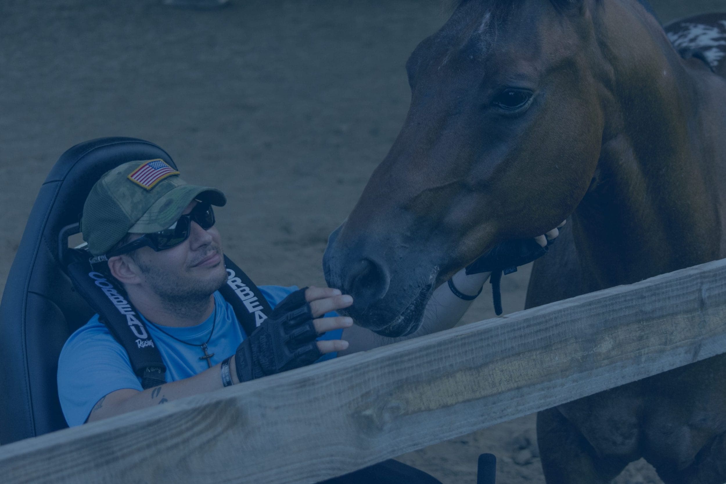 Quantum Leap Farm Horses and Healing