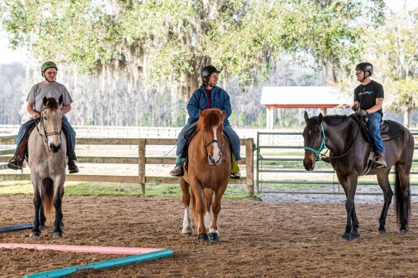 Mark, Ingrid, and Bob are healing together one stride at a time